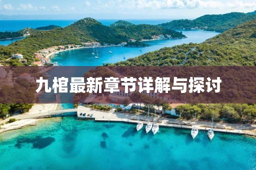 九棺最新章节详解与探讨