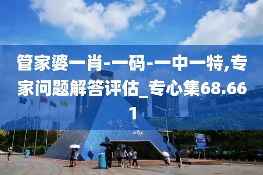 管家婆一肖-一码-一中一特,专家问题解答评估_专心集68.661