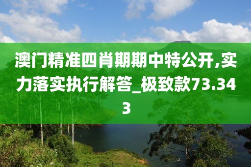 澳门精准四肖期期中特公开,实力落实执行解答_极致款73.343