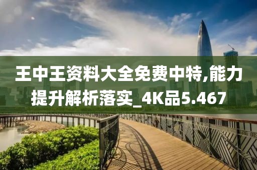 王中王资料大全免费中特,能力提升解析落实_4K品5.467