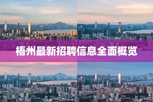 梧州最新招聘信息全面概览