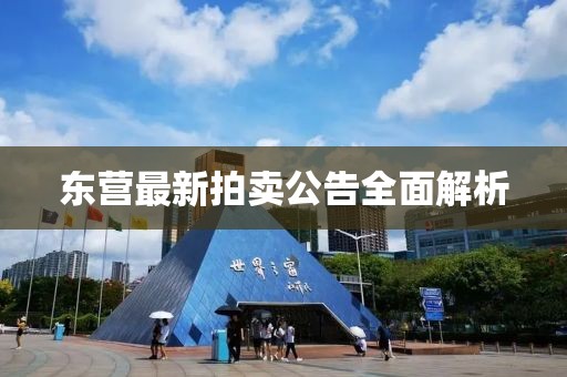 东营最新拍卖公告全面解析