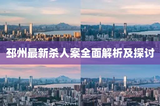 邳州最新杀人案全面解析及探讨