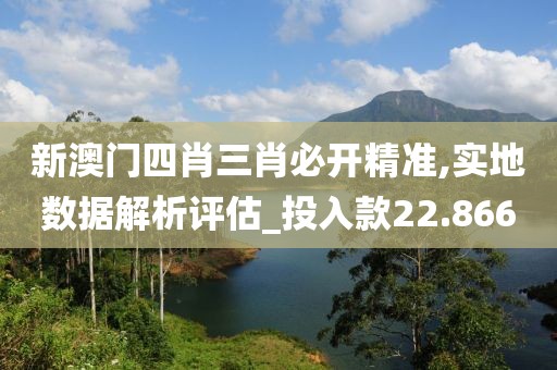 新澳门四肖三肖必开精准,实地数据解析评估_投入款22.866