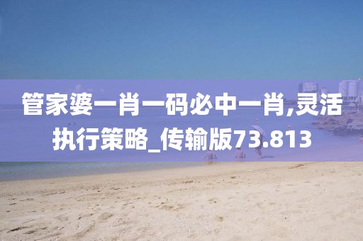 管家婆一肖一码必中一肖,灵活执行策略_传输版73.813