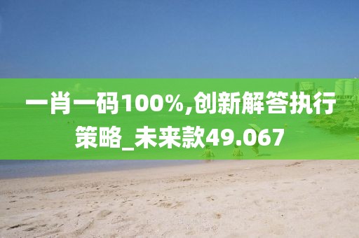 一肖一码100%,创新解答执行策略_未来款49.067