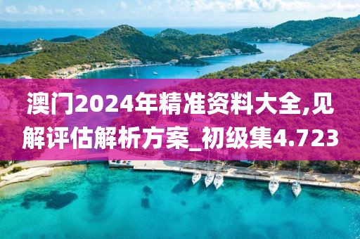澳门2024年精准资料大全,见解评估解析方案_初级集4.723