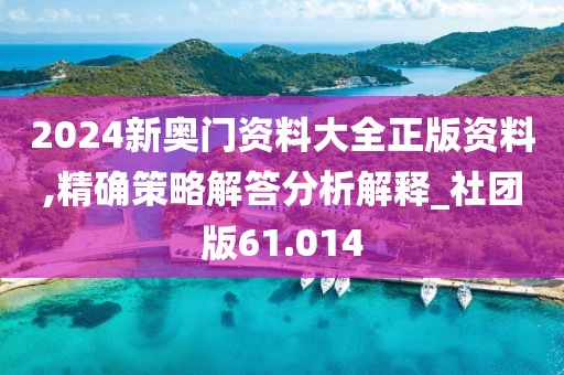 2024新奥门资料大全正版资料,精确策略解答分析解释_社团版61.014