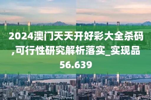 2024澳门天天开好彩大全杀码,可行性研究解析落实_实现品56.639