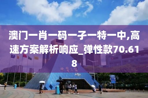 澳门一肖一码一孑一特一中,高速方案解析响应_弹性款70.618