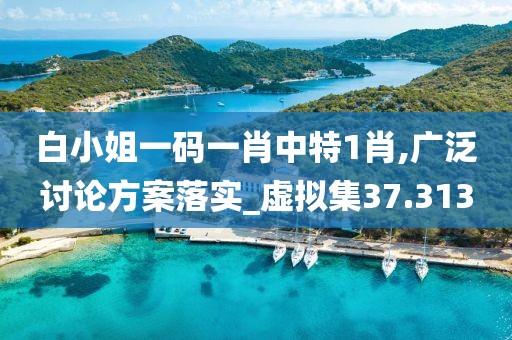 白小姐一码一肖中特1肖,广泛讨论方案落实_虚拟集37.313