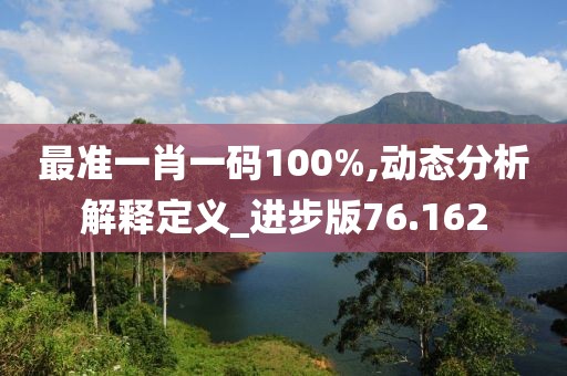 最准一肖一码100%,动态分析解释定义_进步版76.162