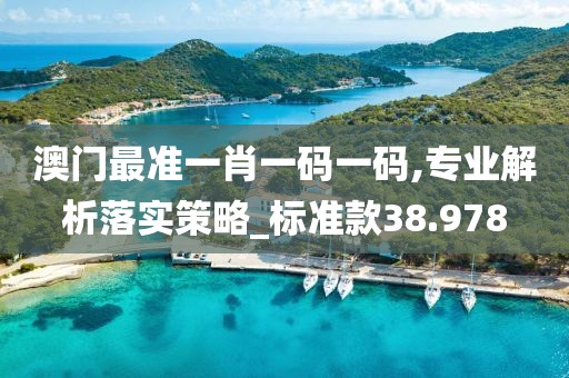 澳门最准一肖一码一码,专业解析落实策略_标准款38.978