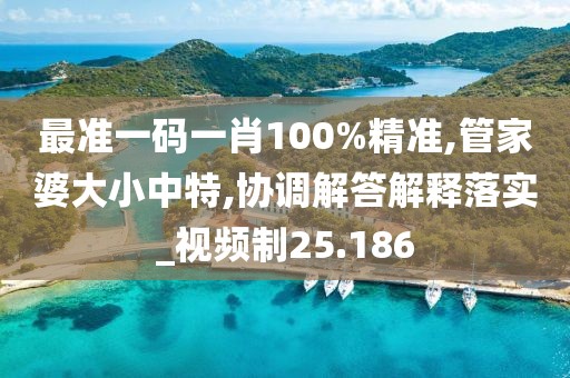 最准一码一肖100%精准,管家婆大小中特,协调解答解释落实_视频制25.186