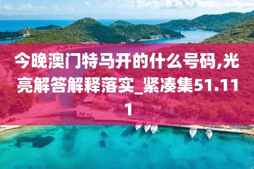 今晚澳门特马开的什么号码,光亮解答解释落实_紧凑集51.111