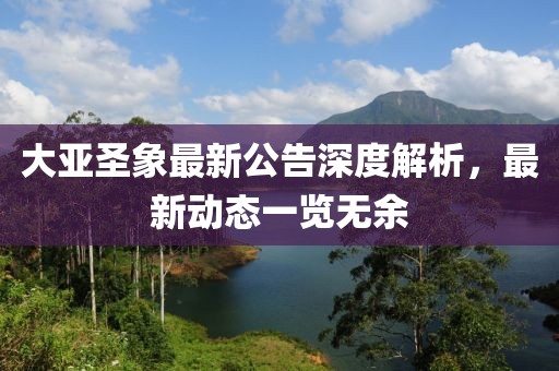 大亚圣象最新公告深度解析，最新动态一览无余