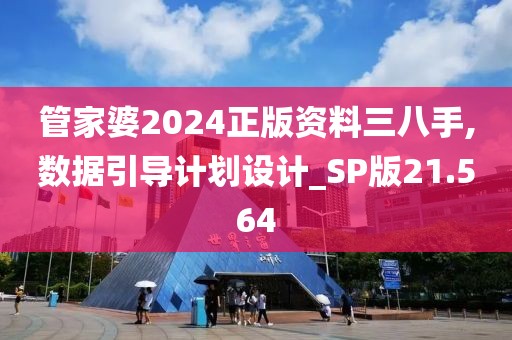 管家婆2024正版资料三八手,数据引导计划设计_SP版21.564