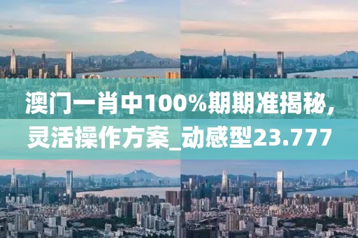 澳门一肖中100%期期准揭秘,灵活操作方案_动感型23.777