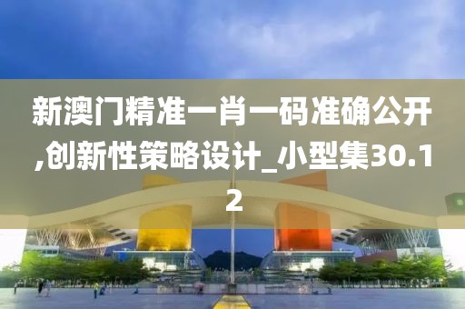 新澳门精准一肖一码准确公开,创新性策略设计_小型集30.12