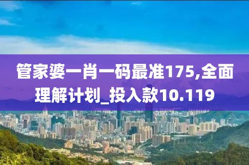 管家婆一肖一码最准175,全面理解计划_投入款10.119