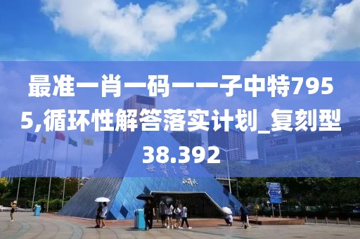最准一肖一码一一子中特7955,循环性解答落实计划_复刻型38.392