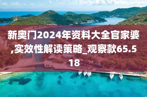 新奥门2024年资料大全官家婆,实效性解读策略_观察款65.518