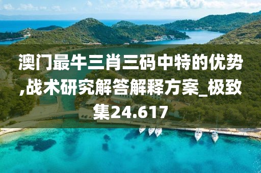 澳门最牛三肖三码中特的优势,战术研究解答解释方案_极致集24.617