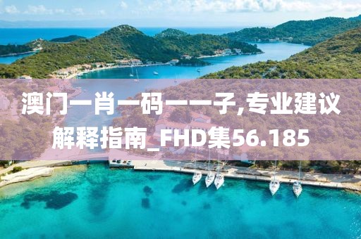 澳门一肖一码一一子,专业建议解释指南_FHD集56.185