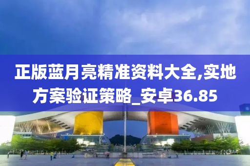 正版蓝月亮精准资料大全,实地方案验证策略_安卓36.85