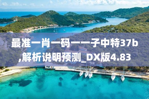 最准一肖一码一一子中特37b,解析说明预测_DX版4.83
