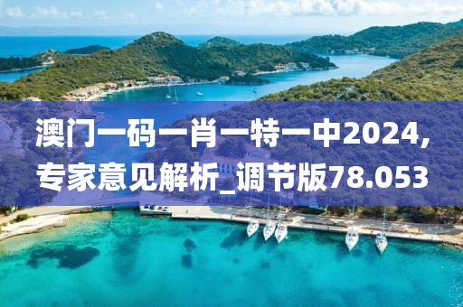 澳门一码一肖一特一中2024,专家意见解析_调节版78.053