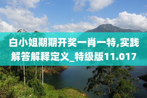 白小姐期期开奖一肖一特,实践解答解释定义_特级版11.017