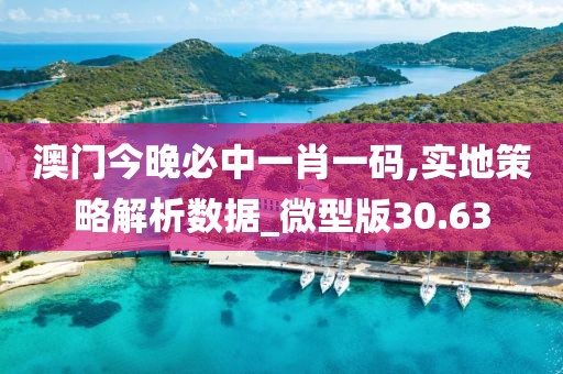 澳门今晚必中一肖一码,实地策略解析数据_微型版30.63