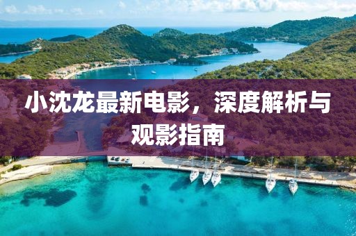 小沈龙最新电影，深度解析与观影指南