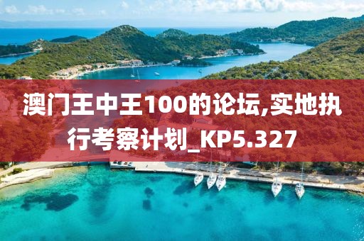 澳门王中王100的论坛,实地执行考察计划_KP5.327