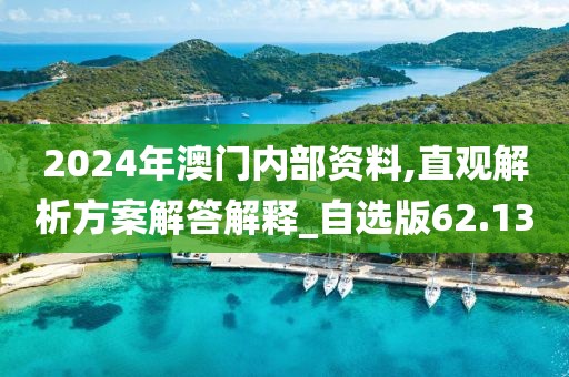 2024年澳门内部资料,直观解析方案解答解释_自选版62.13