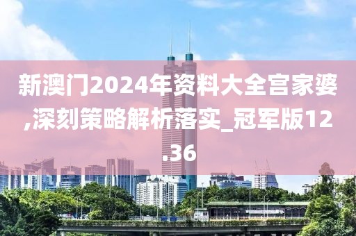 新澳门2024年资料大全宫家婆,深刻策略解析落实_冠军版12.36
