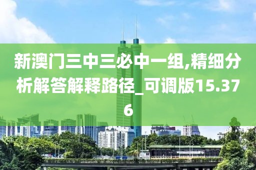 新澳门三中三必中一组,精细分析解答解释路径_可调版15.376