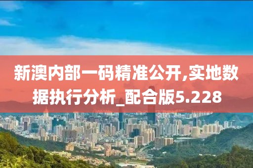 新澳内部一码精准公开,实地数据执行分析_配合版5.228