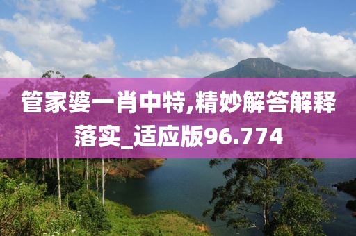 管家婆一肖中特,精妙解答解释落实_适应版96.774