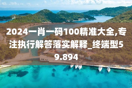 2024一肖一码100精准大全,专注执行解答落实解释_终端型59.894