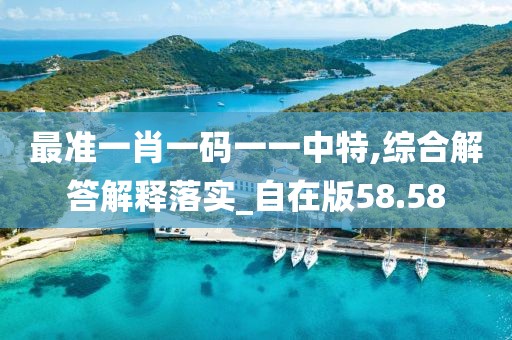 最准一肖一码一一中特,综合解答解释落实_自在版58.58