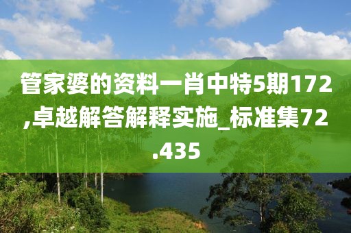 管家婆的资料一肖中特5期172,卓越解答解释实施_标准集72.435