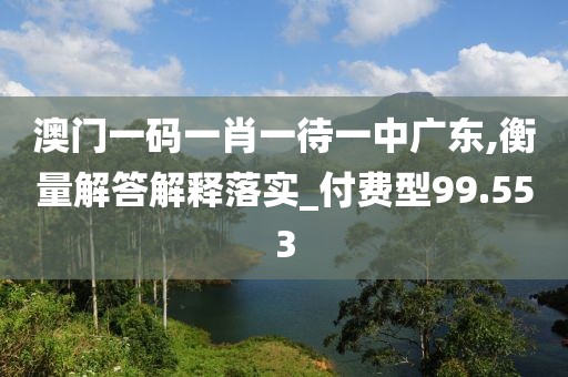 澳门一码一肖一待一中广东,衡量解答解释落实_付费型99.553