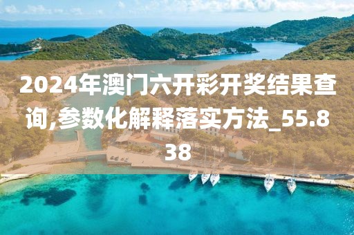 2024年澳门六开彩开奖结果查询,参数化解释落实方法_55.838