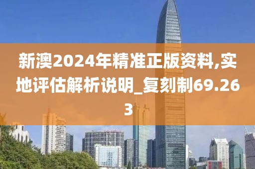 新澳2024年精准正版资料,实地评估解析说明_复刻制69.263