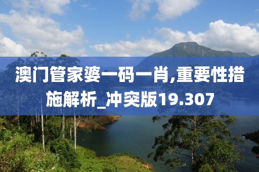 澳门管家婆一码一肖,重要性措施解析_冲突版19.307
