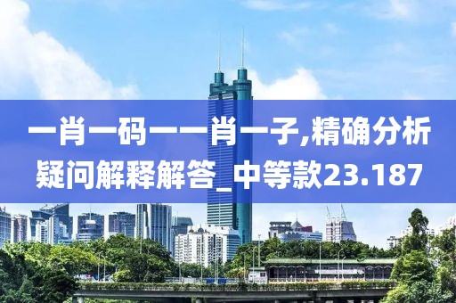 一肖一码一一肖一子,精确分析疑问解释解答_中等款23.187