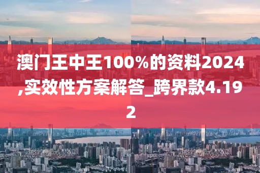 澳门王中王100%的资料2024,实效性方案解答_跨界款4.192