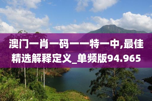 澳门一肖一码一一特一中,最佳精选解释定义_单频版94.965